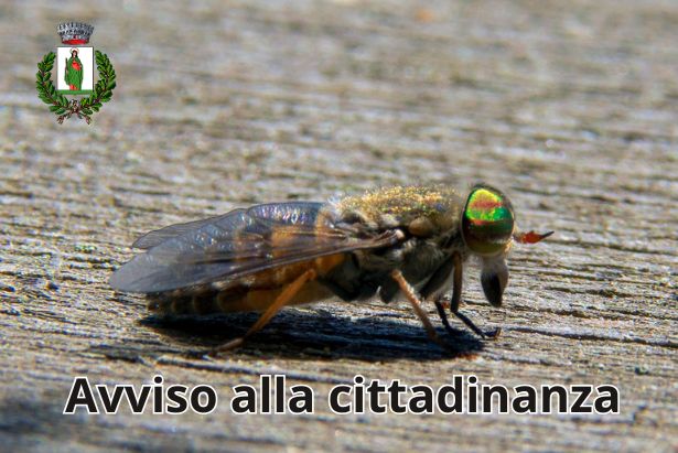 avvisosutafano