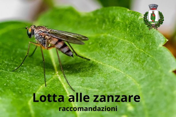 lottaallezanzare