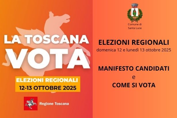 MANIFESTO CANDIDATI E COME SI VOTA