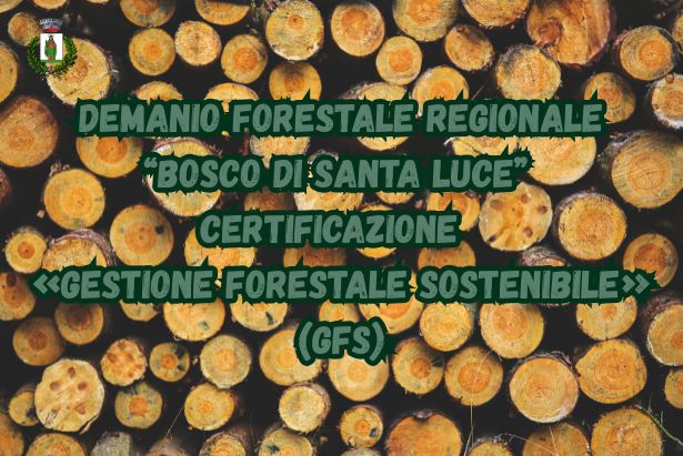 certificazione forestale