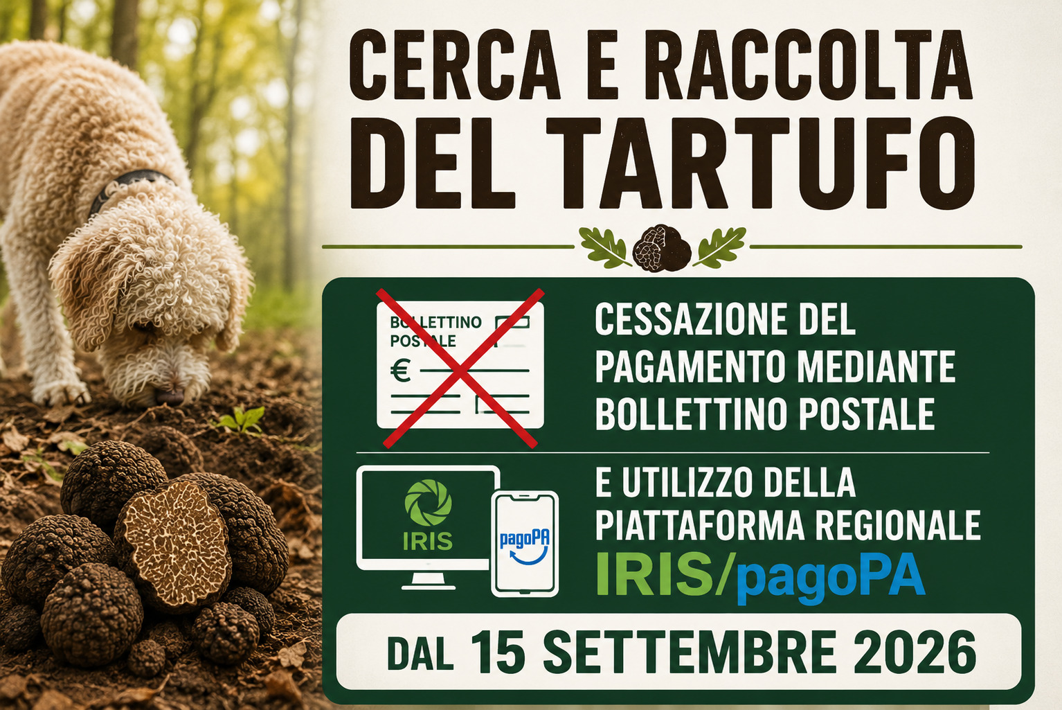 cambio modo di pagamento tesserino tartufo